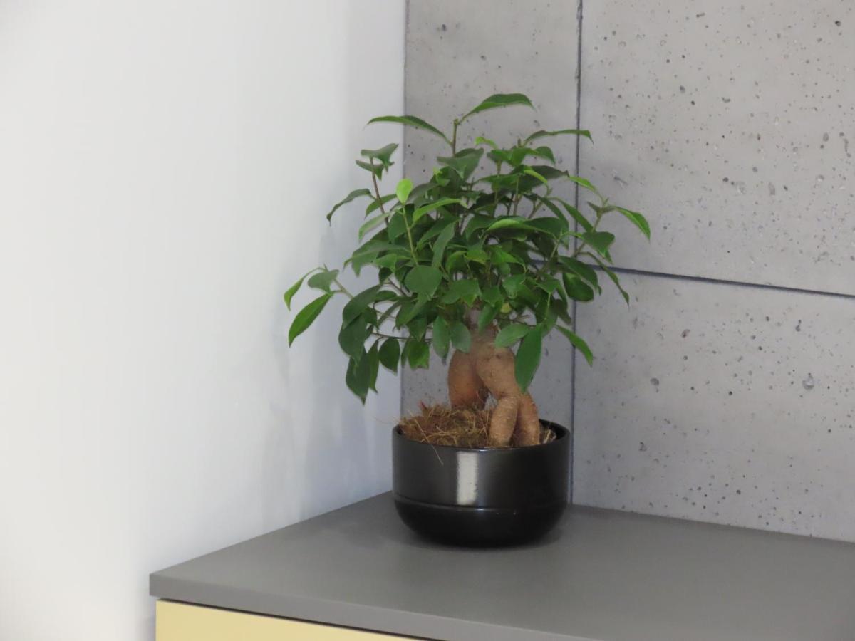 Apartament El - Solaris *